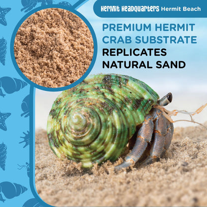 All Natural Premium Hermit Crab Sand Substrate, Sand Mixture with Coconut Fiber, for Hermit Crab Tanks, 6 Lbs.