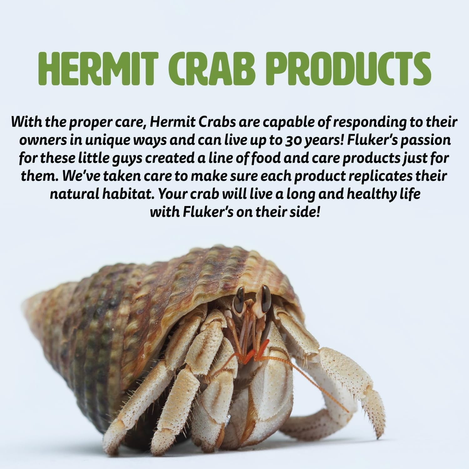 All Natural Premium Hermit Crab Sand Substrate, Sand Mixture with Coconut Fiber, for Hermit Crab Tanks, 6 Lbs.