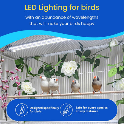 - Bird Cage Light - Full Spectrum LED Pet Light for Soft Bill Birds - Simulates Natural Environment - Safe for All Avian Species - No Bulbs to Change (10" Long)