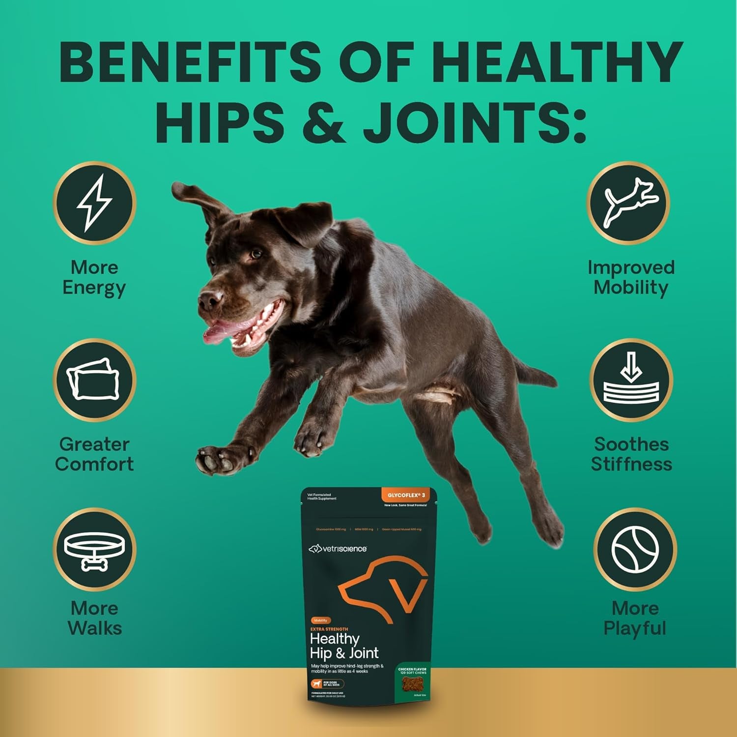 Extra Strength Healthy Hip & Joint Chews, Glycoflex Glucosamine & Green-Lipped Mussel Joint Support Supplement for Dogs, Promote Mobility & Soothe Joint Discomfort, Chicken, 120 Count